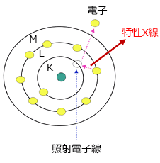 EDX原理の模式図