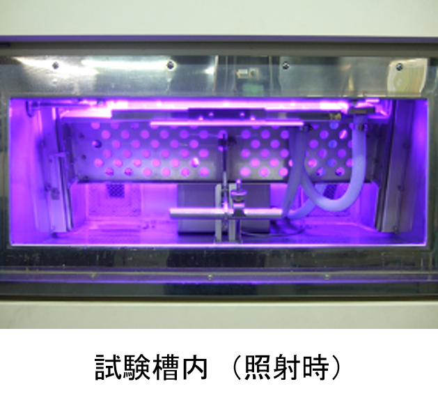 アイスーパーUVテスター（S-UV）試験槽内（照射時）画像