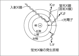 図：蛍光X線の発生原理