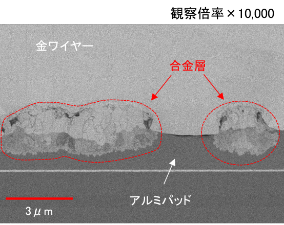 電子部品中の金ワイヤー接合部の断面観察