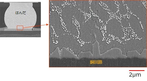 はんだ接合部の金属間化合物観察画像