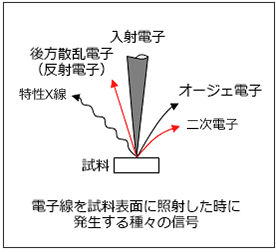 FE-SEM原理の模式図