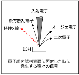 FE-SEMのEDX原理の模式図