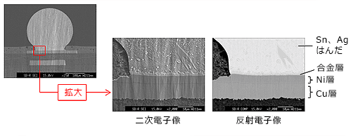 銅－はんだバンプの接合部の観察画像