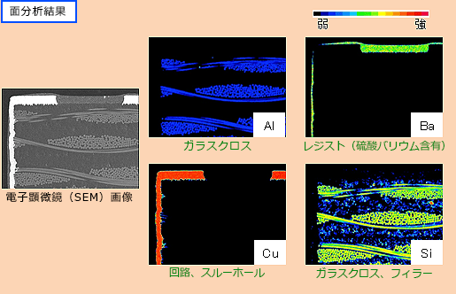 基板断面の面分析結果（元素マッピング）