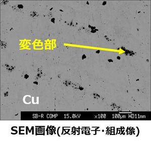 SEM画像（反射電子・組成像）