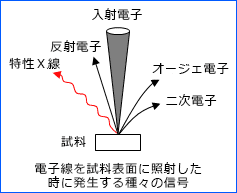 長分散型X線分光器（WDS）原理の模式図