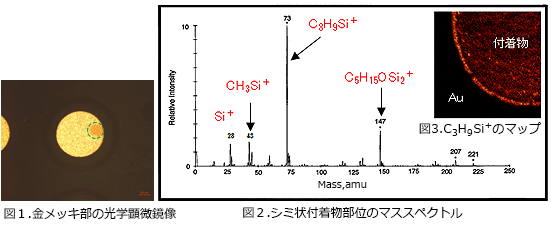 飛行時間型二次イオン質量分析（TOF-SIMS）例：金メッキ部のシミ状付着物分析