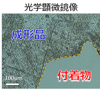 成形品の光学顕微鏡像