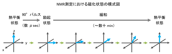 NMR測定における磁化状態の模式図