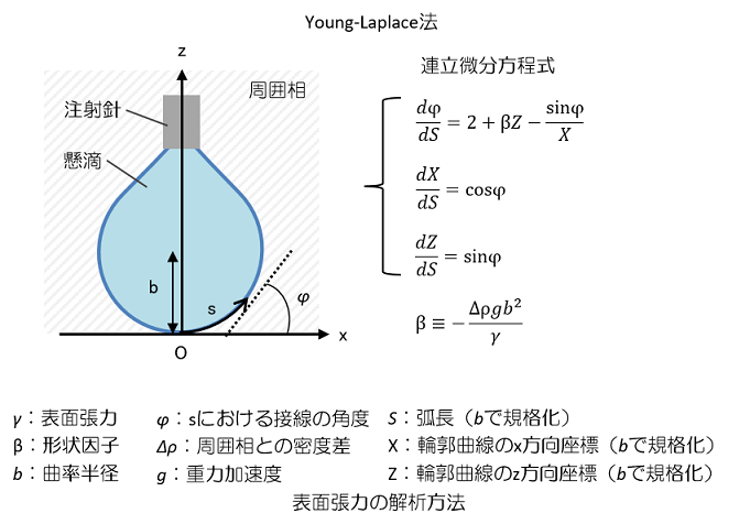 表面張力の解析方法概略図