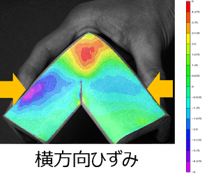 横方向ひずみの可視化