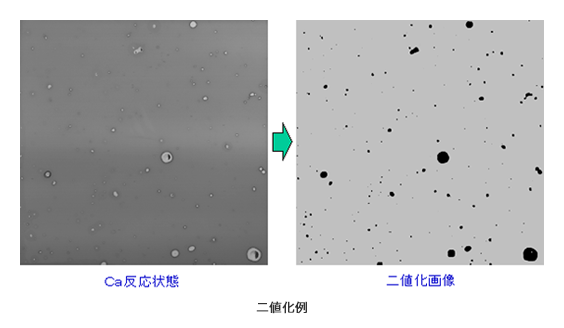 超微量透湿度測定(カルシウム腐食法)でのCa反応状態の二値化例(画像)