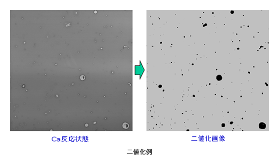 超微量透湿度測定（カルシウム腐食法）でのCa反応状態の二値化例（画像）